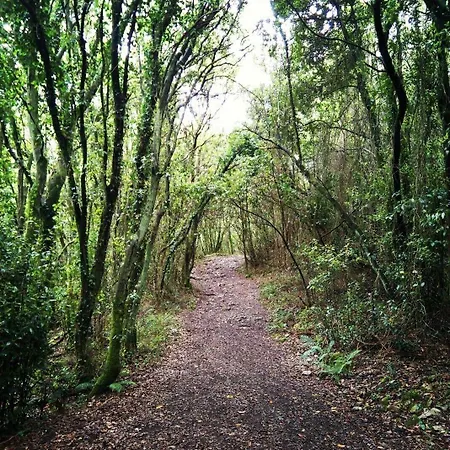 Andamur 3* San Román