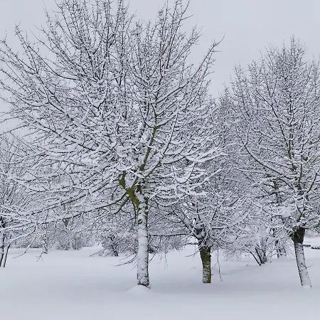 Andamur San Ξενοδοχείο San Román