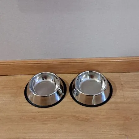 Szálloda Andamur San San Román