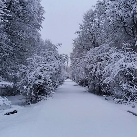 Andamur San 3* San Román