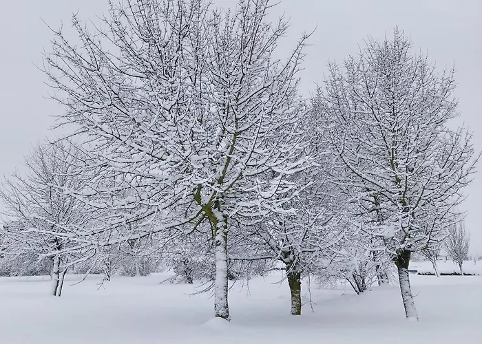 Andamur San Hotel San Román