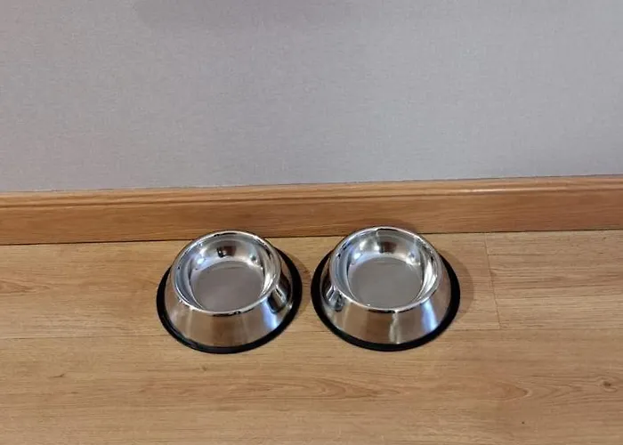 Hotel Andamur San San Román