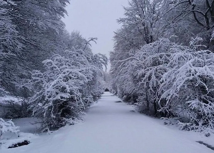 Andamur San 3* San Román