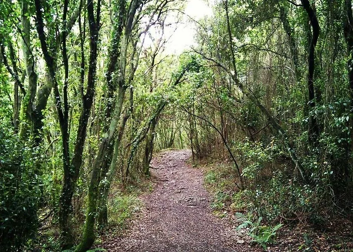 Andamur San 3* San Román